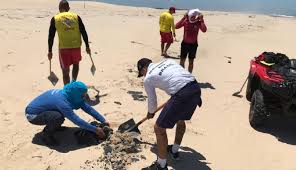 Militares, moradores iniciaram a limpeza na Praia de Atalaia e retiraram mais de meia tonelada de óleo